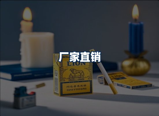 专业团队办公环境
